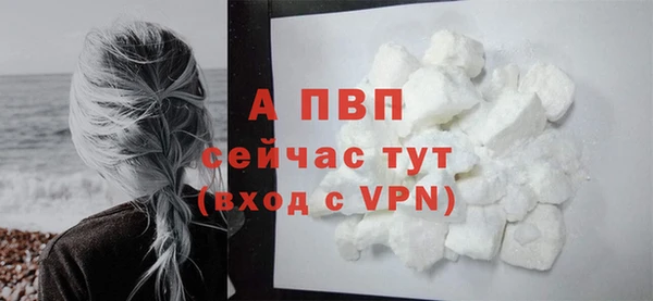 шишки Нея