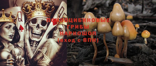 шишки Нея