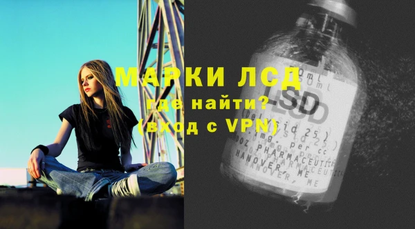 шишки Нея