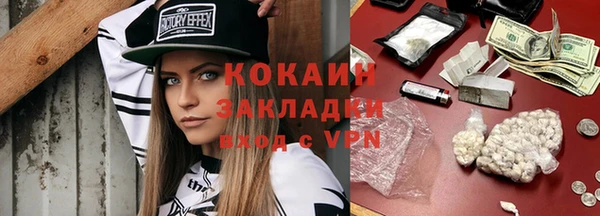 шишки Нея