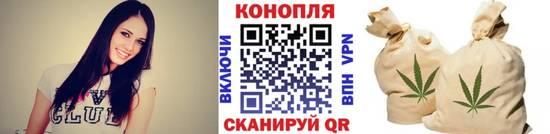 Бошки Шишки ГИДРОПОН  Кувшиново 